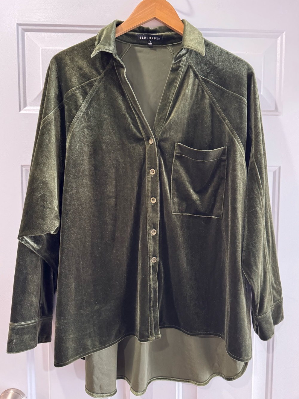 Blue Blush Green Velvet Velour Oversized V-neck Button Down Shirt Size Small